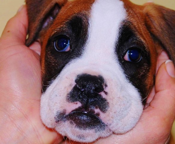 30280_16777_foto17-Small.jpg 30280_16777_foto17-Small.jpg